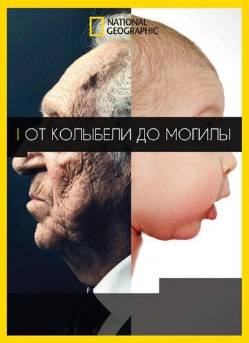 От колыбели до могилы (2017) От колыбели до могилы (2017)