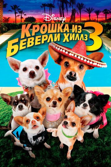 Крошка из Беверли-Хиллз 3 (2012) Крошка из Беверли-Хиллз 3 (2012)