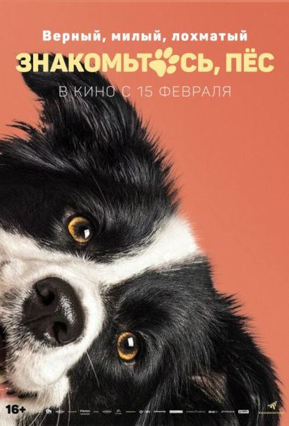 Знакомьтесь, пёс (2024) Знакомьтесь, пёс (2024)