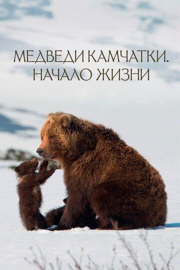 Медведи Камчатки. Начало жизни (2018) Медведи Камчатки. Начало жизни (2018)