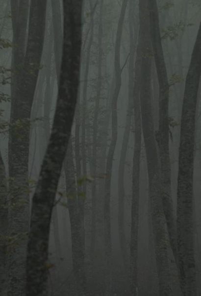 Убежище 2: ледяная тропа (2018) Убежище 2: ледяная тропа (2018)