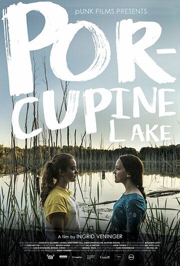Озеро Поркьюпайн (2017) Озеро Поркьюпайн (2017)