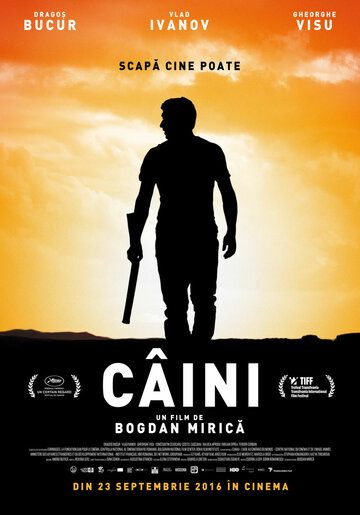 Собаки (2016) Собаки (2016)
