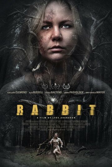 Кролик (2017) Кролик (2017)