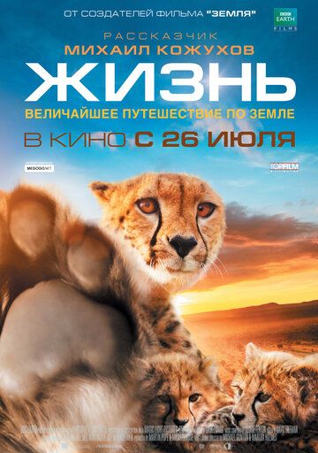 Жизнь (2012) Жизнь (2012)