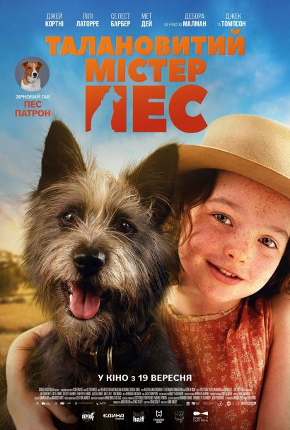 Мой любимый двортерьер (2024) Мой любимый двортерьер (2024)