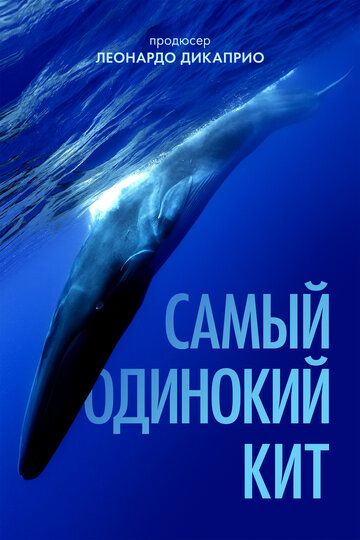Самый одинокий кит на планете: в поисках Пятидесятидвухгерцового кита (2021) Самый одинокий кит на планете: в поисках Пятидесятидвухгерцового кита (2021)