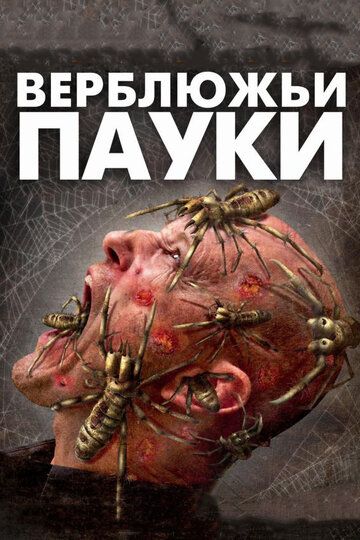 Верблюжьи пауки (2011) Верблюжьи пауки (2011)