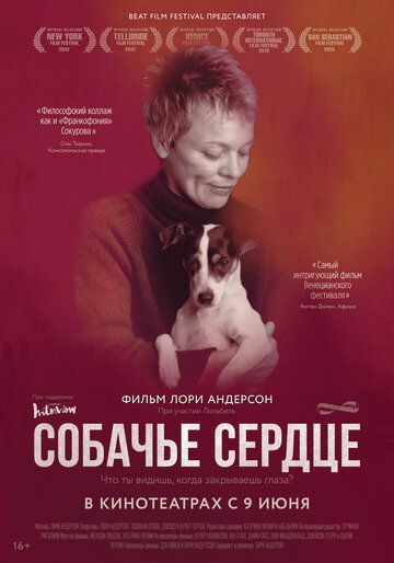 Собачье сердце (2016) Собачье сердце (2016)
