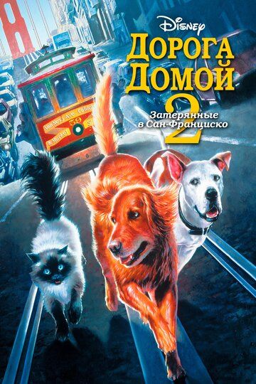 Дорога домой 2: Затерянные в Сан-Франциско (1996) Дорога домой 2: Затерянные в Сан-Франциско (1996)