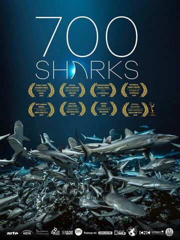 700 акул (2019) 700 акул (2019)