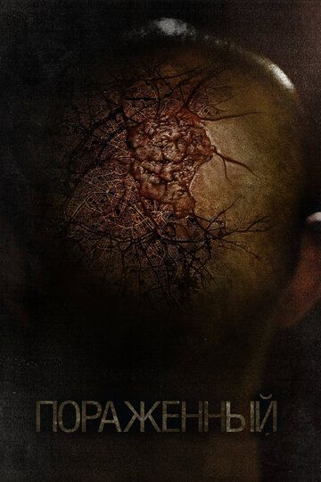 Пораженный (2013) Пораженный (2013)