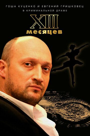 Тринадцать месяцев (2008) Тринадцать месяцев (2008)