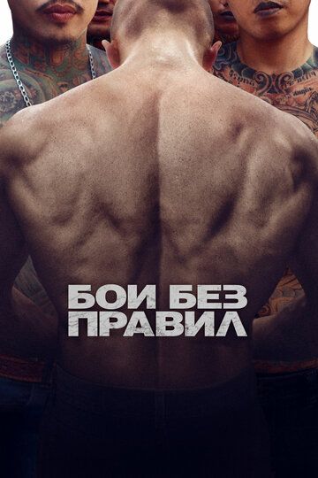 Бои без правил (2018) Бои без правил (2018)