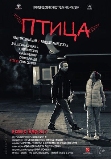Птица (2017) Птица (2017)