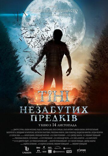 Тени незабытых предков (2013) Тени незабытых предков (2013)