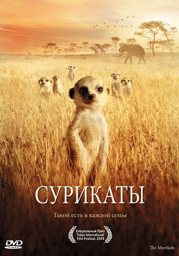 Сурикаты (2008) Сурикаты (2008)
