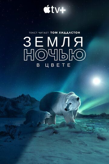 Земля ночью в цвете (2020) Земля ночью в цвете (2020)