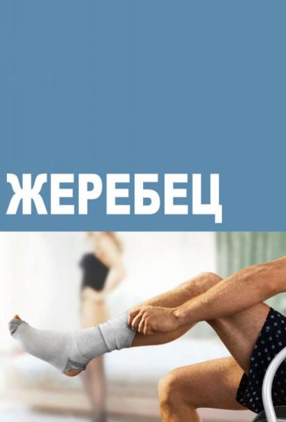 Жеребец (2011) Жеребец (2011)