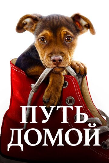 Путь домой (2019) Путь домой (2019)