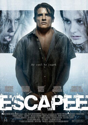 Беглец (2011) Беглец (2011)