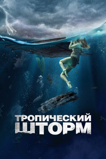 Реквин (2022) Реквин (2022)