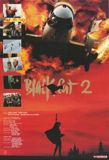 Черная кошка 2 (1992) Черная кошка 2 (1992)