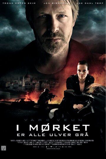 Варг Веум: Ночью все волки серы (2011) Варг Веум: Ночью все волки серы (2011)
