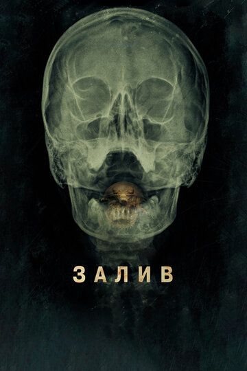 Залив (2012) Залив (2012)
