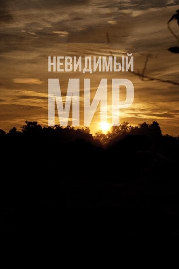 Невидимый мир (2013) Невидимый мир (2013)