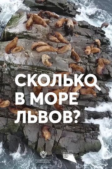 Сколько в море львов? (2018) Сколько в море львов? (2018)