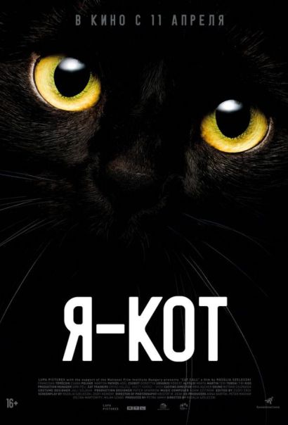 Я — кот (2024) Я — кот (2024)