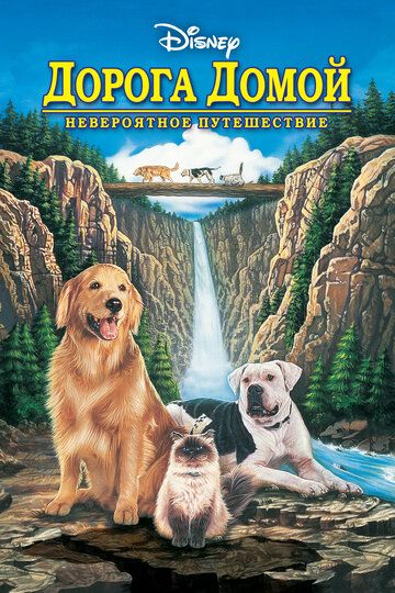 Дорога домой: Невероятное путешествие (1993) Дорога домой: Невероятное путешествие (1993)