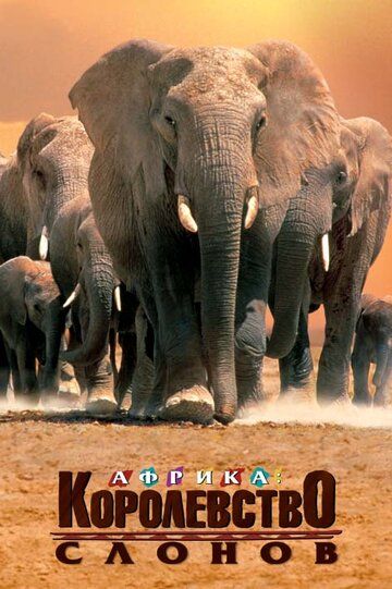 Африка — королевство слонов (2003) Африка — королевство слонов (2003)