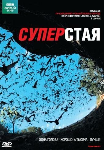 BBC: Суперстая (2009) BBC: Суперстая (2009)