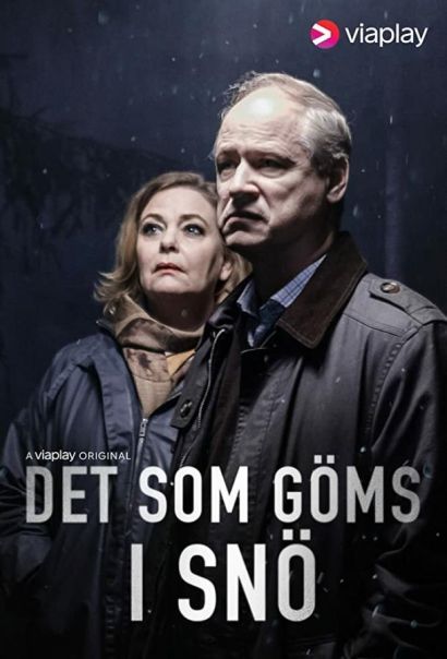 Что спрятано в снегу (2018) Что спрятано в снегу (2018)