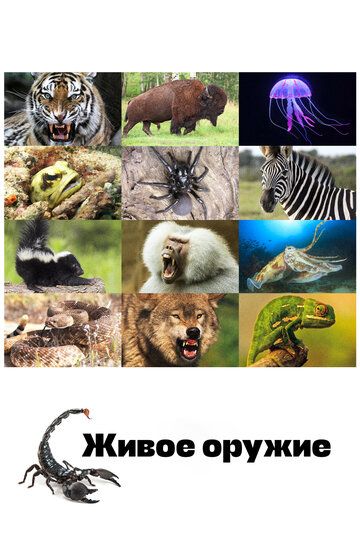 Живое оружие (2016) Живое оружие (2016)