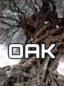 Oak (2024) Oak (2024)
